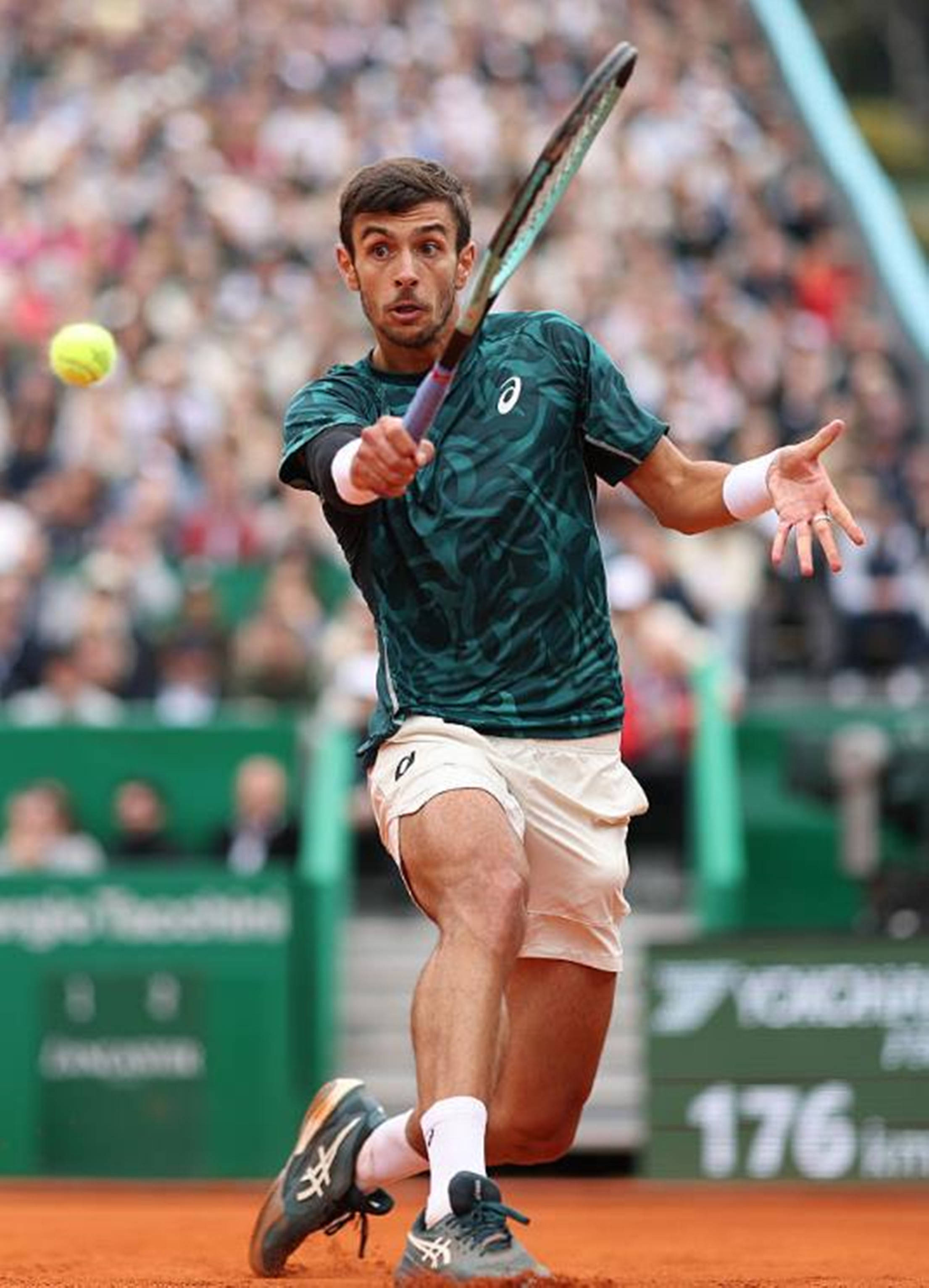 印尼足球的 印尼足球的