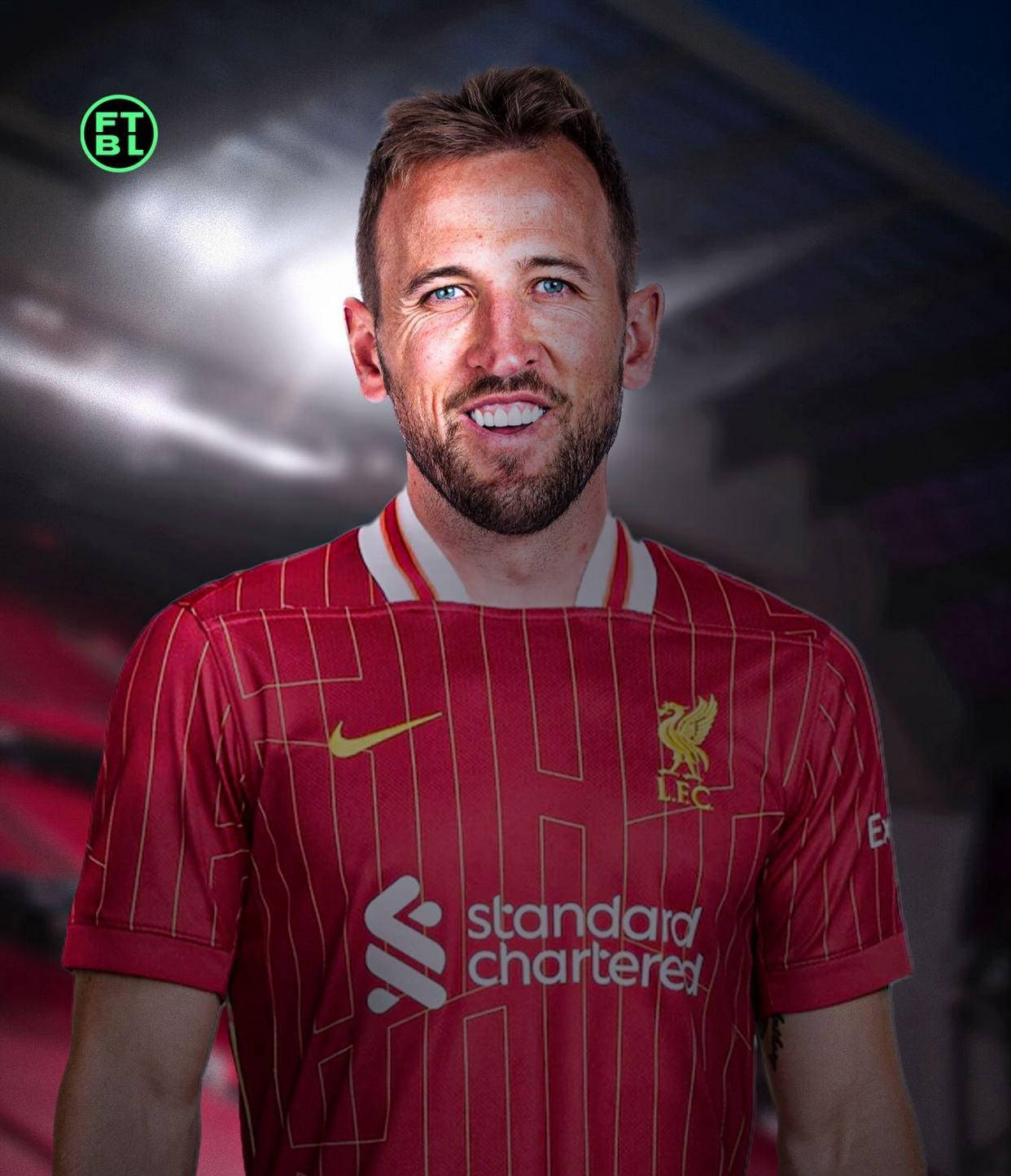 印尼足球的 印尼足球的