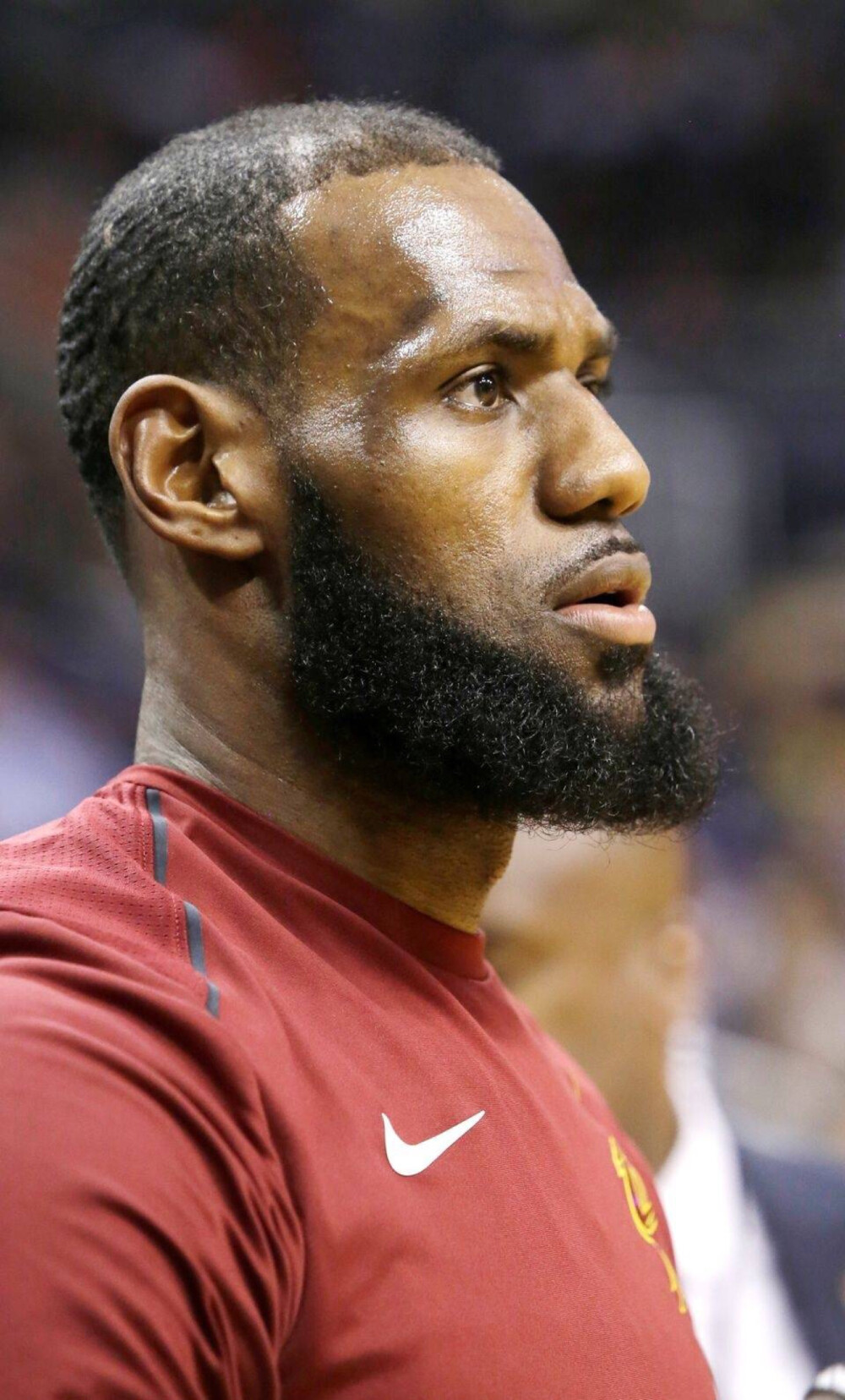 合影强调的 合影强调的